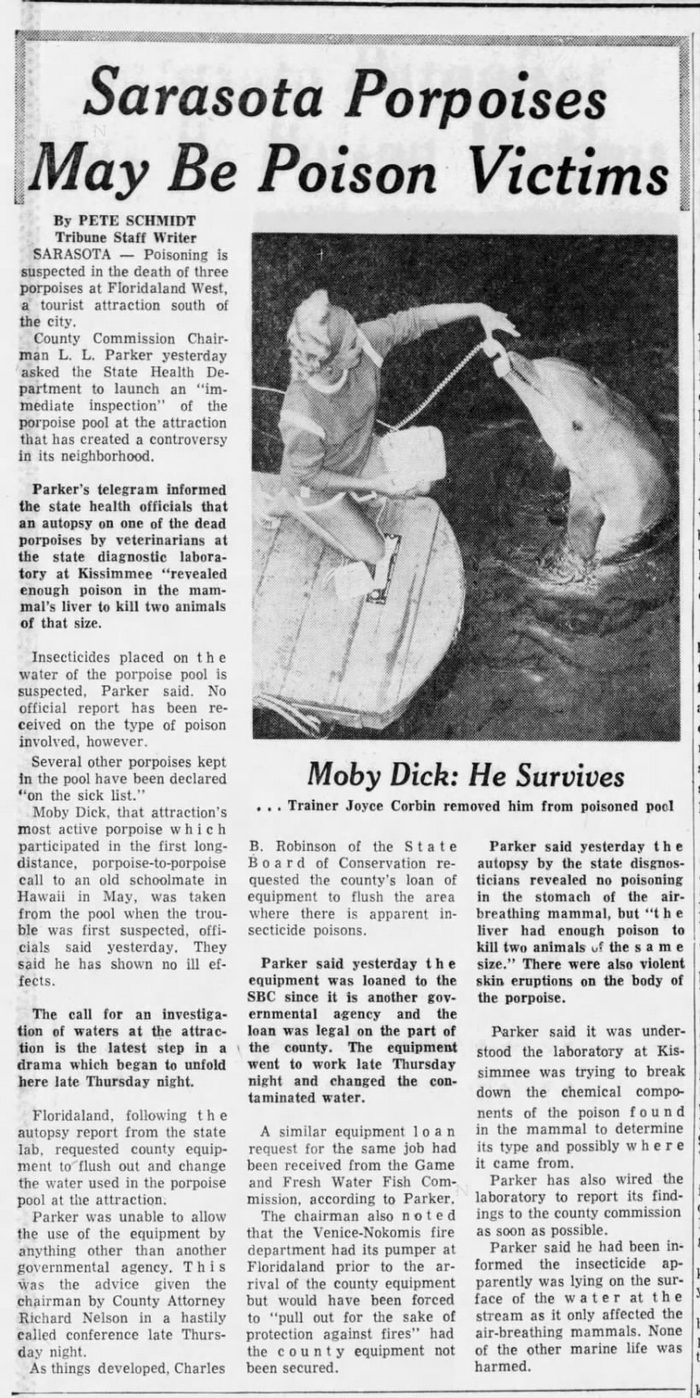 Floridaland - July 1965 Porpoises Sick